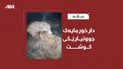 دیالە: دارخورماکەی بڕییەوە و کەوت بەسەریدا و گیانی لەدەستدا