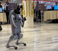 Zakho Institute students showcase projects at tech festival