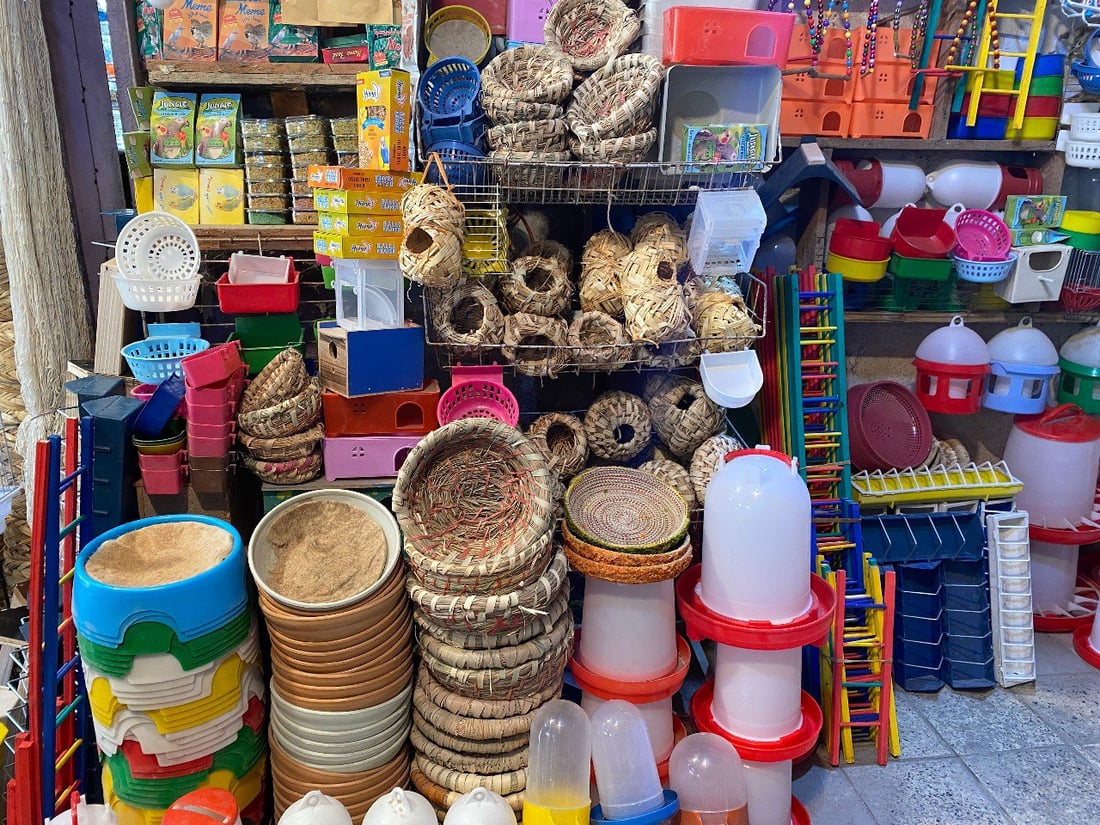 ملتقى “الجنّاية” منذ الخمسينيات.. جولة صورية داخل أقدم سوق للطيور في ميسان