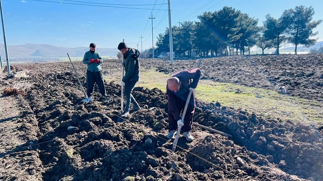 ساڵانه‌ 60 نه‌مامى توو ده‌به‌خشێت و شاره‌وانى گۆپاڵه‌ش ده‌یچێنن