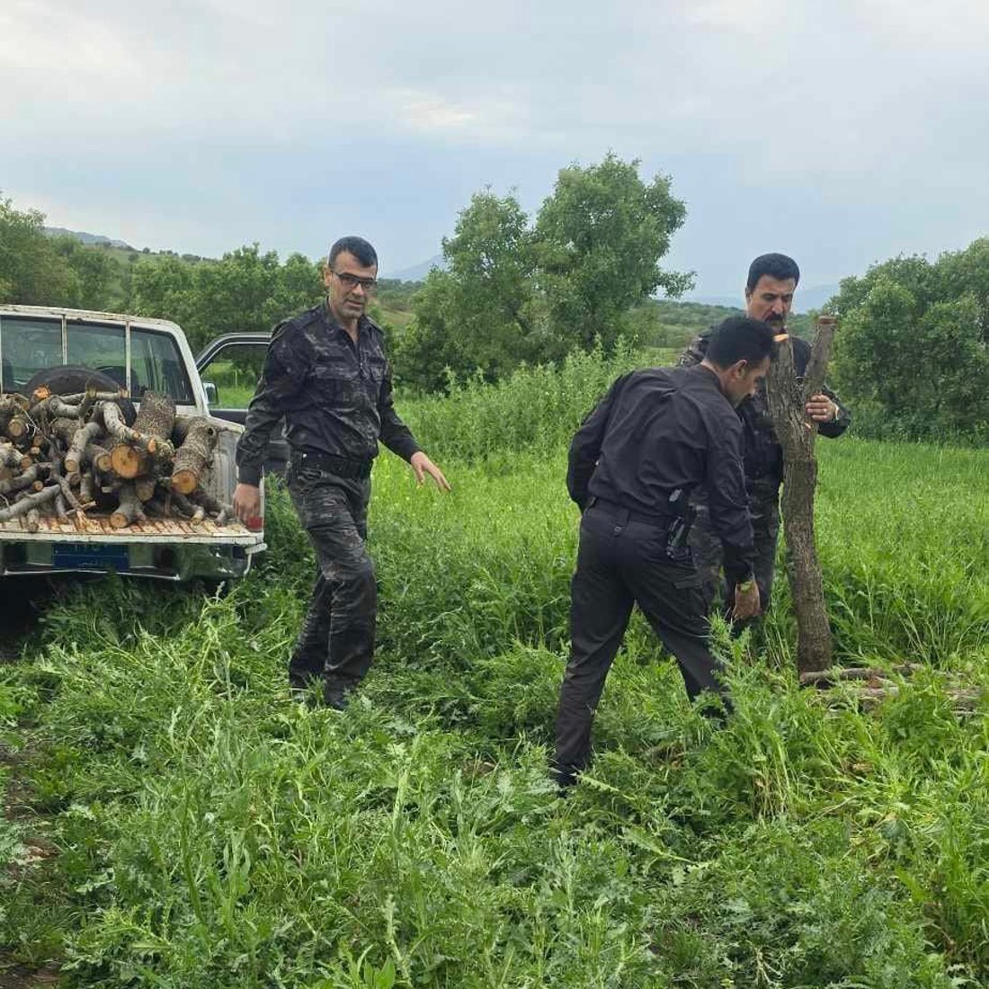 چوار پیکاب داری بڕاوە دەستی بەسەردا گیرا