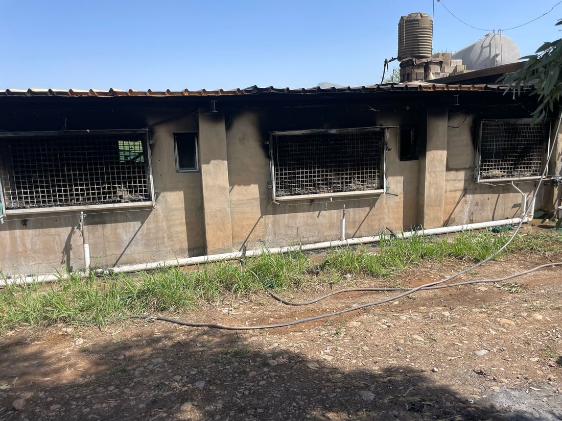 ئاگر لە هەناوی کێڵگەیەکی پەلەوەری سنووری بنگرد هەڵگیرسا