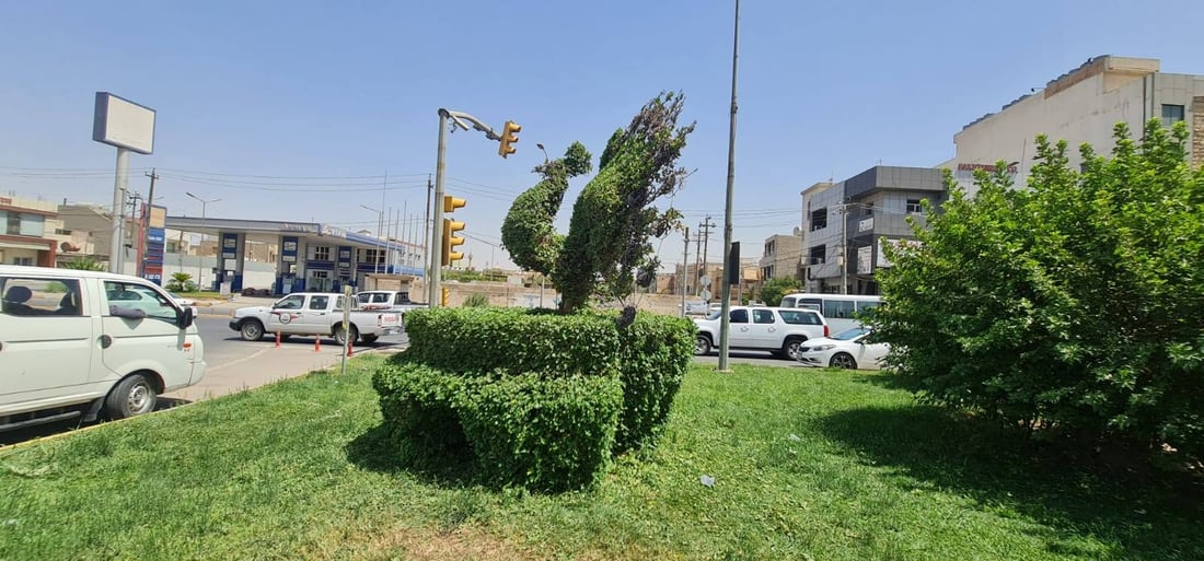 ئەو دار و درەختانەی شێوەی ئاژەڵ و باڵندە دەدەن رێکدەخرێنەوە