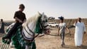 Purebred Arabian horses compete in high-stakes race in Hurriya