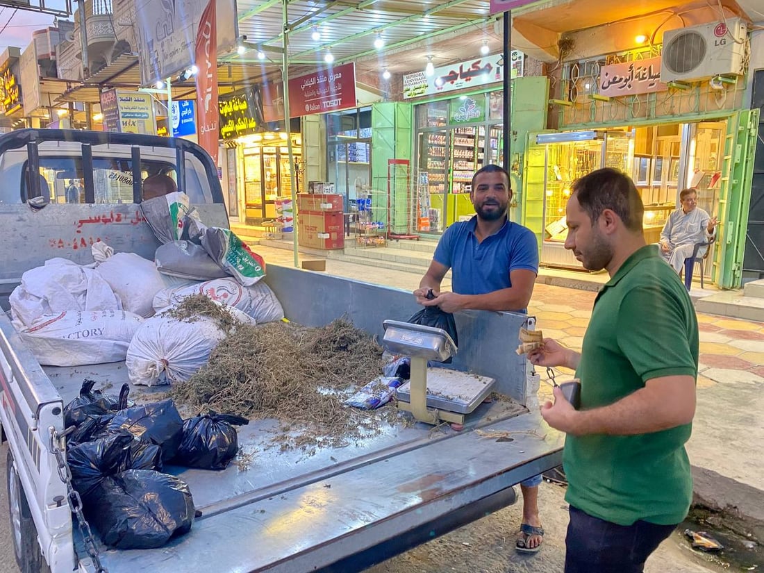 صور: بيع الزعتر العراقي في مدن الأنبار.. يفضّله أهل كبيسة وهيت