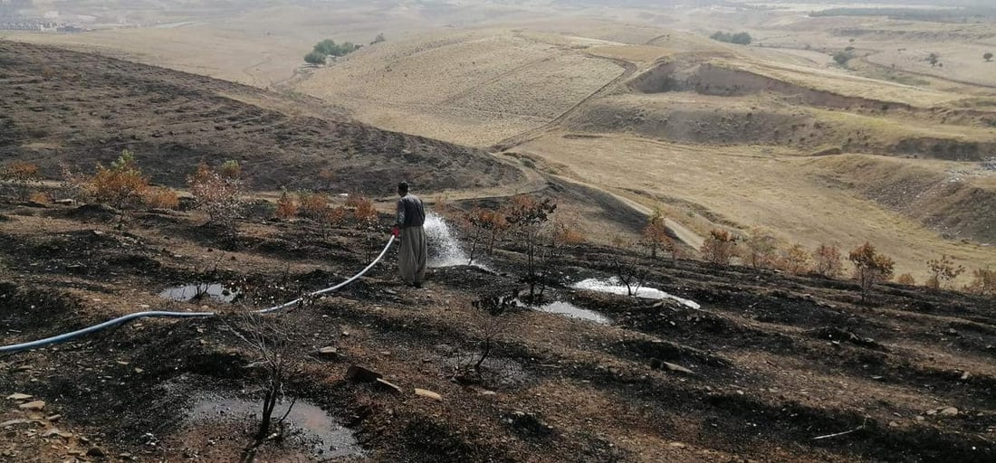 باخچە رووەکییەکەتان بیرە کە سووتا %80 بوژاوەتەوە