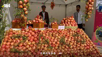 هه‌ڵه‌بجه‌ خۆی بۆ فێستیڤاڵی هەنار و پاییز ئامادە دەكات