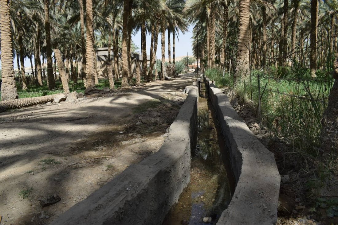 مشاهد ملهمة من ناحية البغدادي: الأهالي أحيوا ساقية قديمة لإرواء 150 بستاناً (صور)