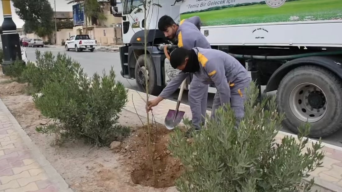 تلعفر تغرس ألف شتلة نادرة وتناشد الأهالي: ساعدونا في السقي والحماية (صور)