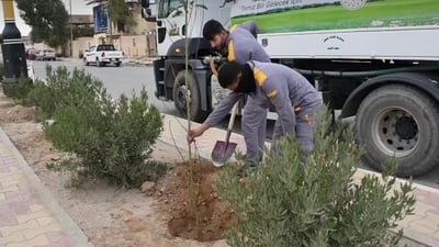 تلعفر تغرس ألف شتلة نادرة وتناشد الأهالي: ساعدونا في السقي والحماية (صور)