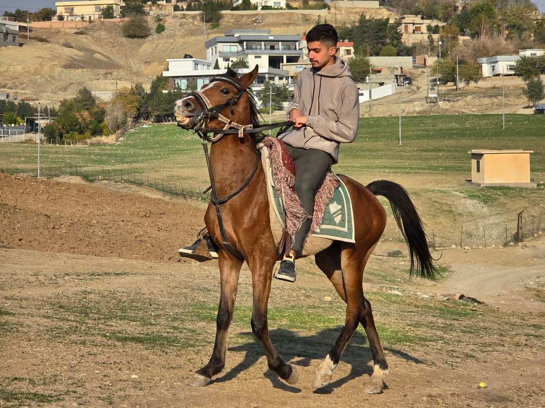 ‘My dreams and freedom’: teen returns to horseback riding after near-fatal crash