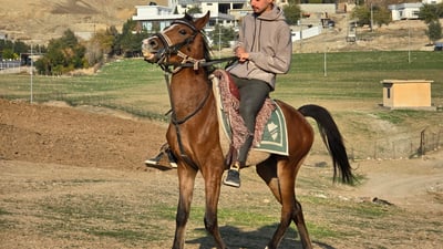‘My dreams and freedom’: teen returns to horseback riding after near-fatal crash