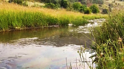 رووبارى هیران پڕبووه‌ له‌ رۆن و نه‌وتى ره‌ش