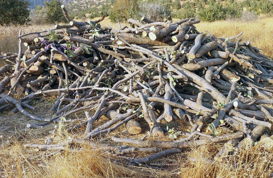 لەسەر داربڕین 15 رۆژ بەند دەکرێت