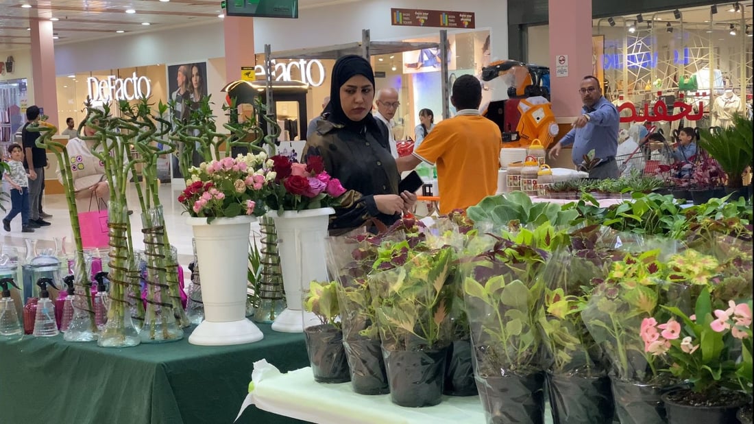 ضعوا هذه النبتة في غرف النوم.. نباتات نادرة في “تايم سكوير” البصرة (فيديو)