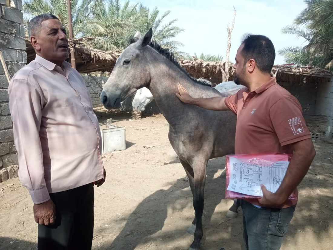 Equine register hopes to improve Iraq’s equestrian scene