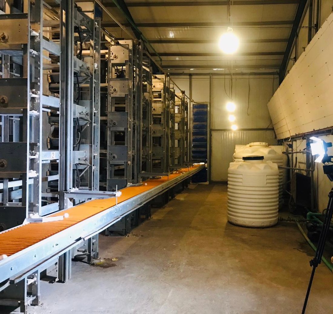 أسعار البيض ترتفع 15% في الرمادي.. على وقع سعر الصرف وأسباب أخرى