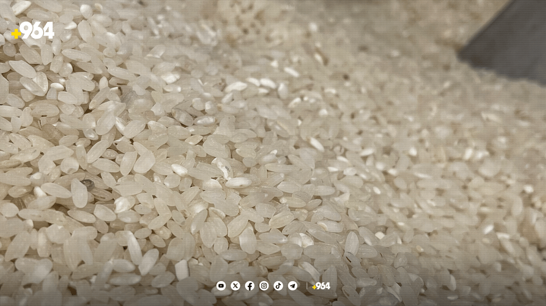 سۆراغ: ڤیدیۆی دروستکردنی برنج لە پلاستیک راست نییە