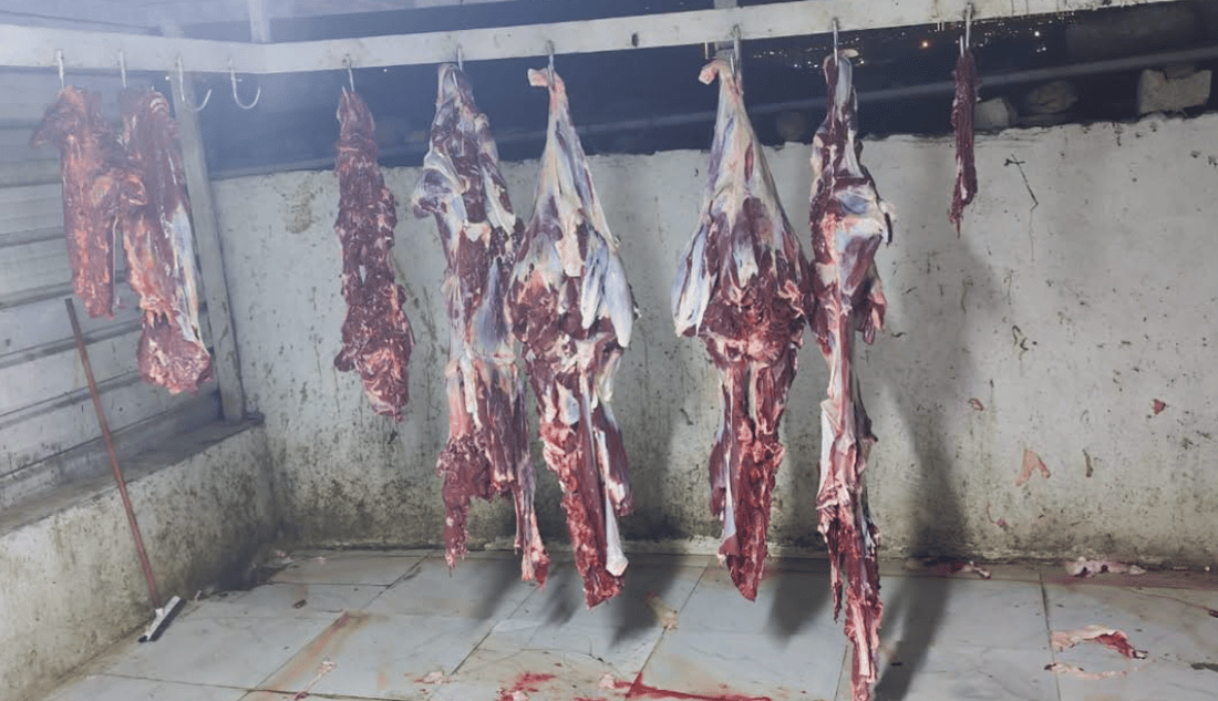 دەست بەسەر بڕێک گۆشتی ناتەندروستدا لە تانجەرۆ گیرا