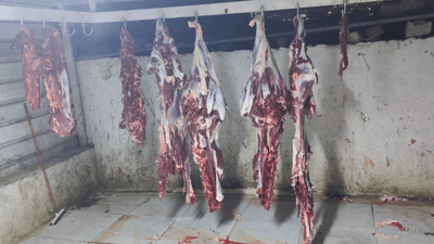 دەست بەسەر بڕێک گۆشتی ناتەندروستدا لە تانجەرۆ گیرا