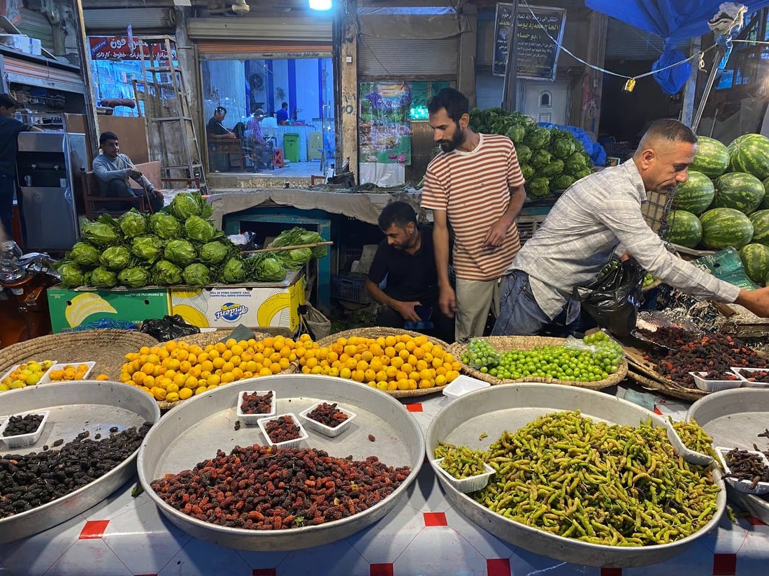موسم مشمش كربلاء بدأ في الناصرية والزبائن يفضلون “القيسي” على السوري والتركي
