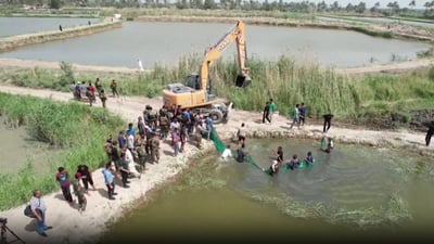 مشاهد من الجو لردم بحيرات بابل.. آلبو مصطفى لن تنتج الأسماك بعد اليوم (فيديو)