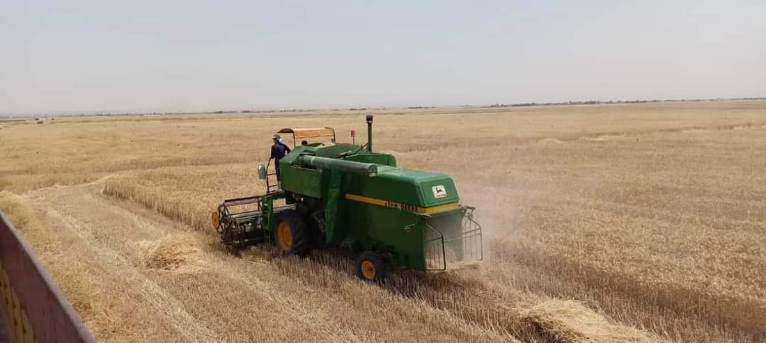 حفلة حنطة في تلعفر.. الحاصدات تدور في ربع مليون دونم و”السايلو” يلغي الطوابير