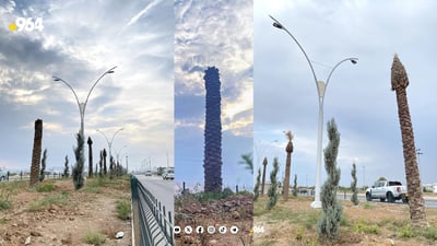 دارخورما وشكبووه‌كانى ده‌روازه‌ى چوارقوڕنه‌ ده‌گۆڕدرێن