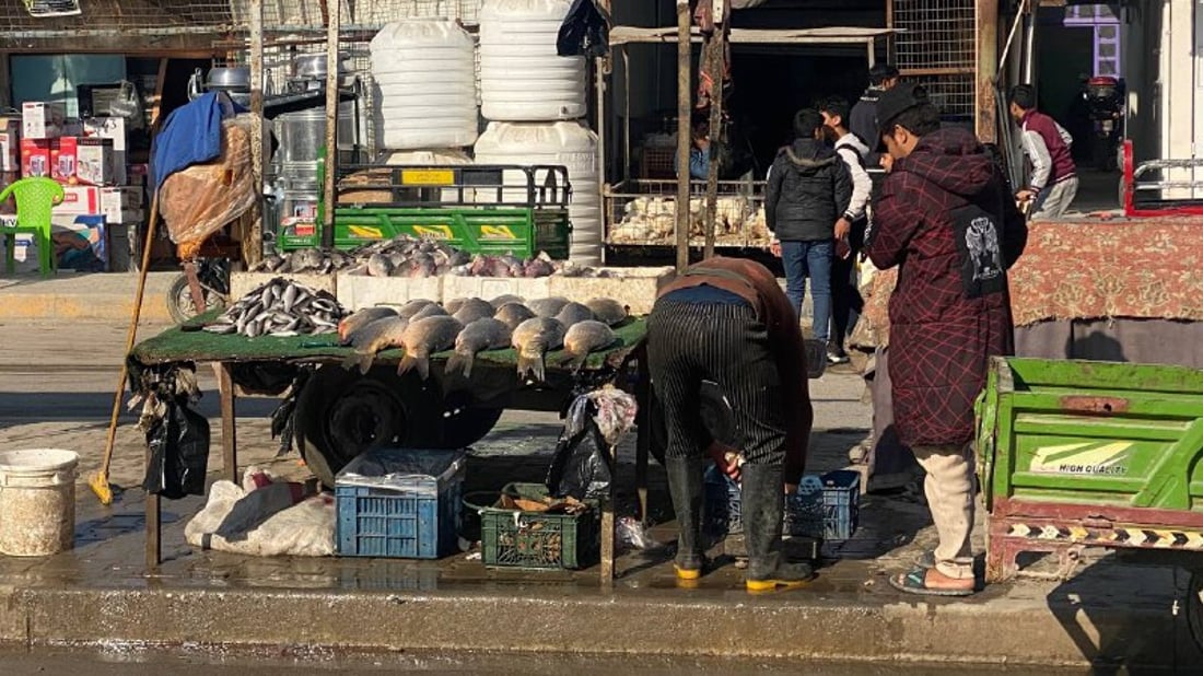 صور: قصابو أبو غريب أغلقوا محالهم بسبب ارتفاع الأسعار.. ودجاج أربيل أنسب البدائل