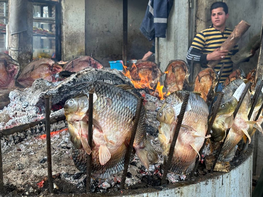 صور: أسماك المحافظات لم تصل الى سوق الميدان في الموصل.. والسعر ارتفع قليلاً