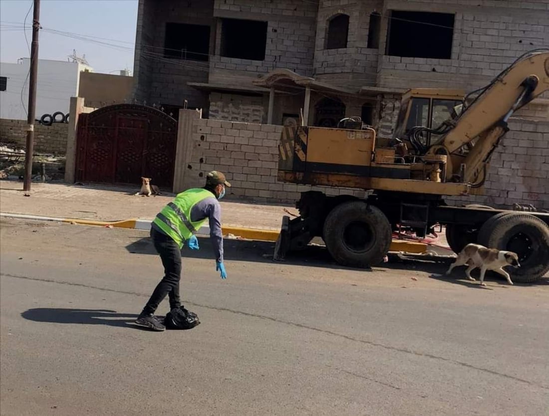 سەگی بێلانە دانیشتووانی خورماتوویان هەراسان کردووە