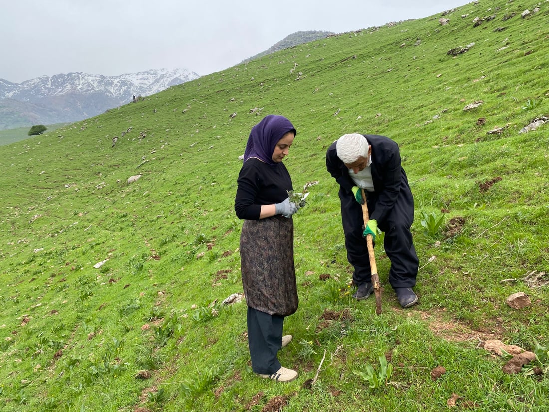 ئەمەل لەگەڵ باوکى لە شاخە؛ هەم پەیامنێرە و هەم کەنگر دەکات