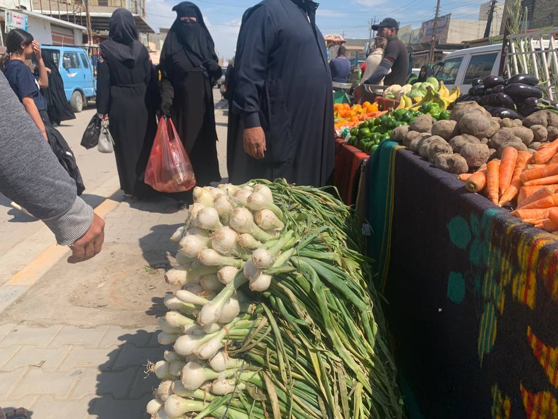 أبو غريب: ارتفاع أسعار محصولي البصل والثوم مع بدء موسم حصاد المحلي منهما