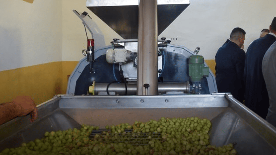 انتظروا زيت زيتون “حديثة”.. المعصرة جاهزة والفلاحون يراهنون على الشجرة المباركة