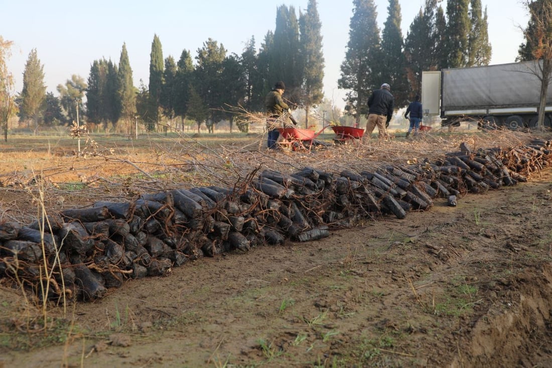 20 هه‌زار نه‌مام له‌ توركیاوه‌ گه‌یشتنه‌ هه‌ولێر