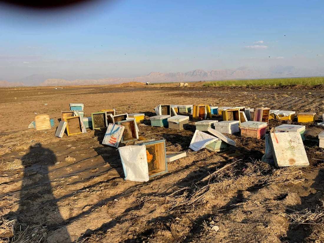 “یه‌كه‌م بارانى پاییز زیانى به‌ هه‌نگه‌كانم گه‌یاند”