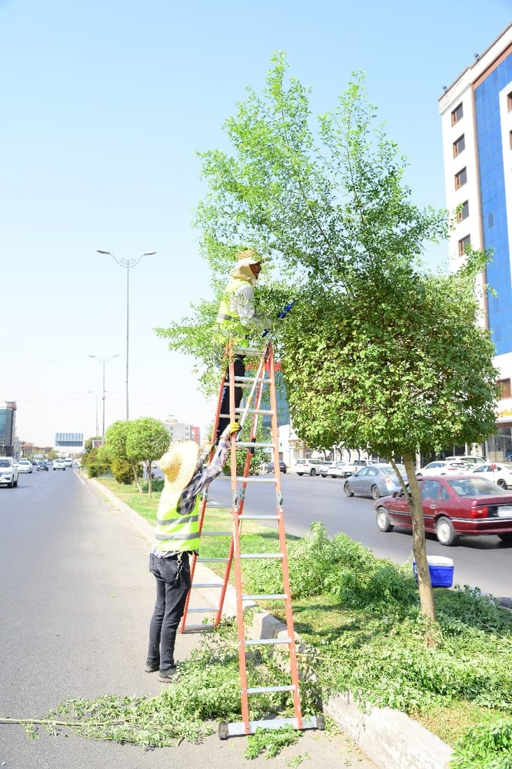 ئەندازەی پاركەكانی هەولێر دەیەوێت ژمارەیەکی پێوانەیی تۆمار بکات