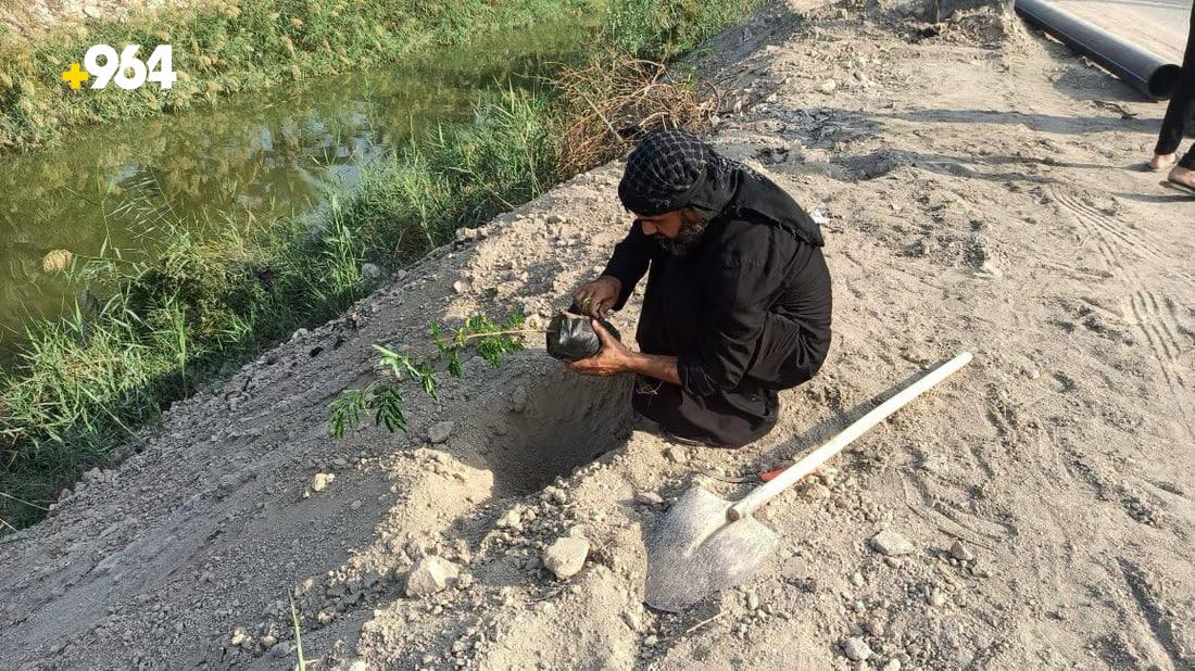 964mediaصورة من منصة (شبكة): 