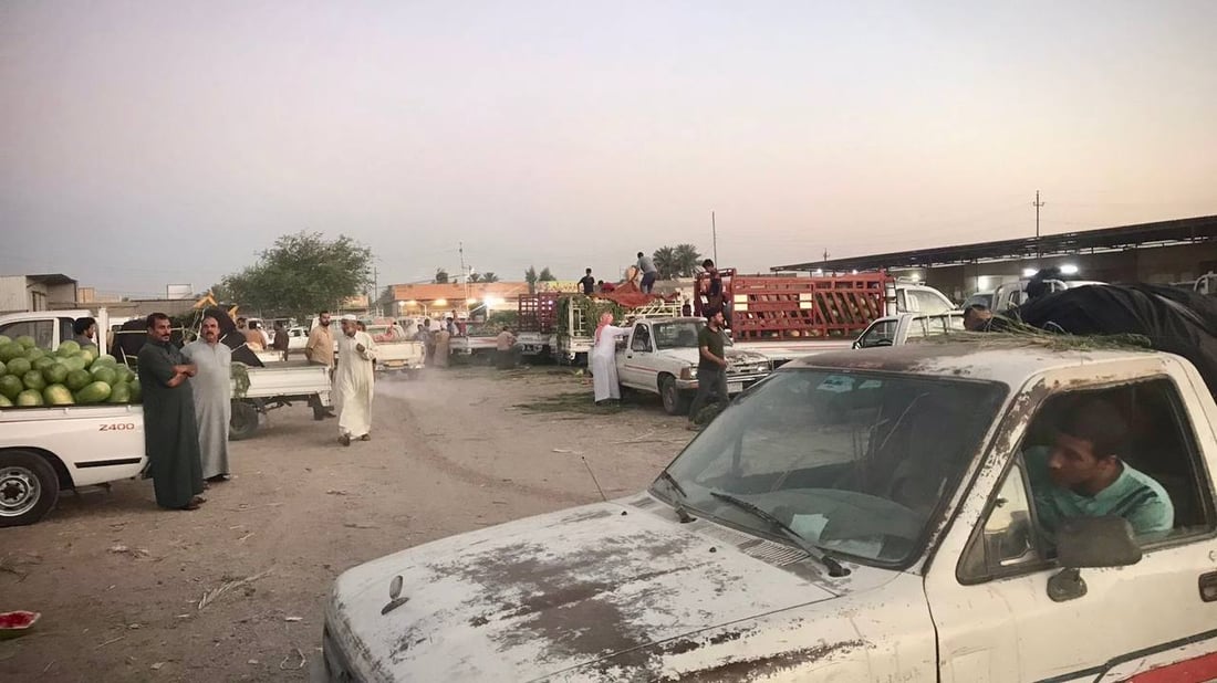 زراعة أبو غريب ليست بخير.. أمطار أيار هي السبب وحر حزيران (صور وأسعار)