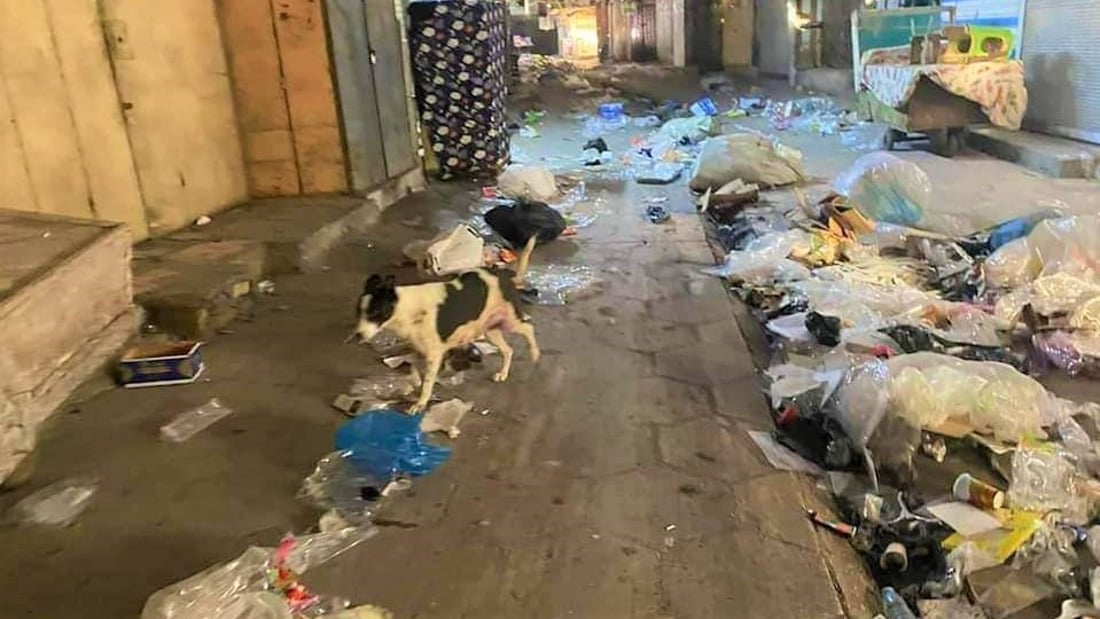 نفايات القصابين تفتح “سوق الهوى” امام الكلاب السائبة (صور)