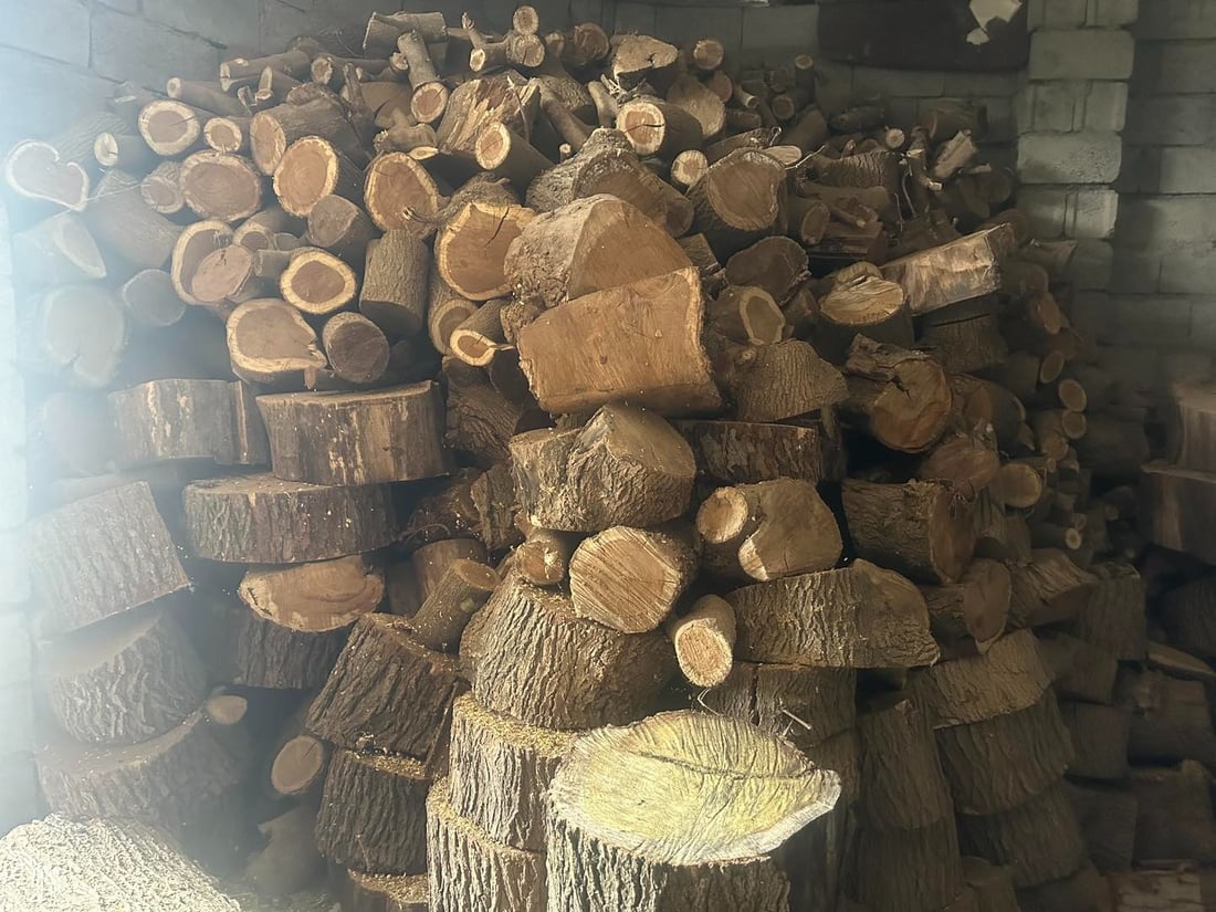 ده‌ست به‌سه‌ر ژوورێكى پڕ له‌ داری بڕاوەدا گیرا