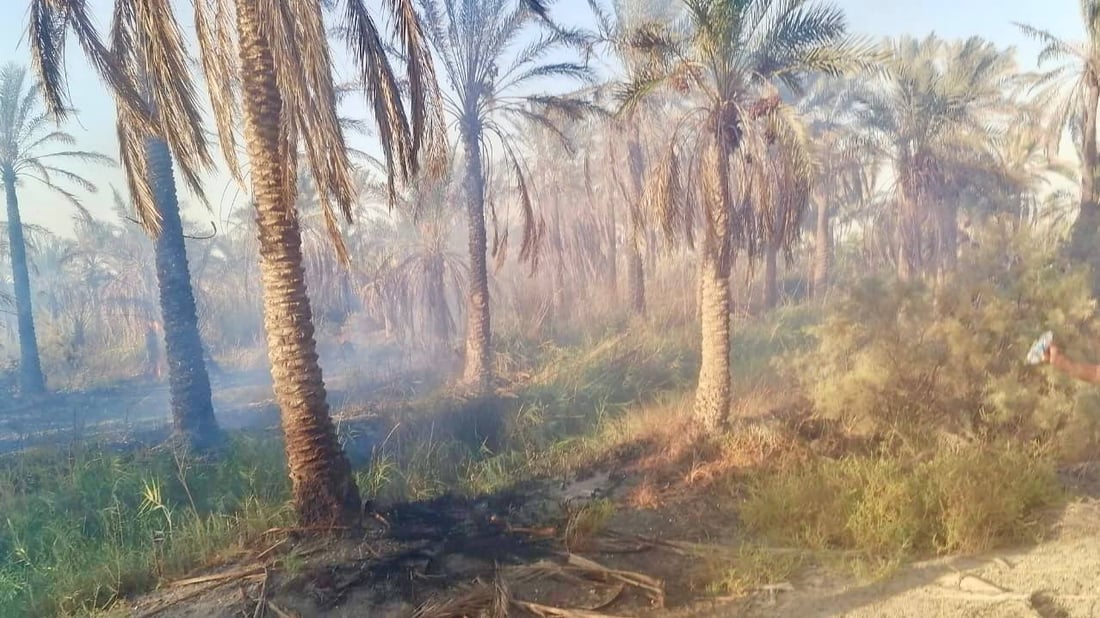 البصرة: بسبب لعب الأطفال.. حريق يلتهم 100 نخلة في قضاء الصادق