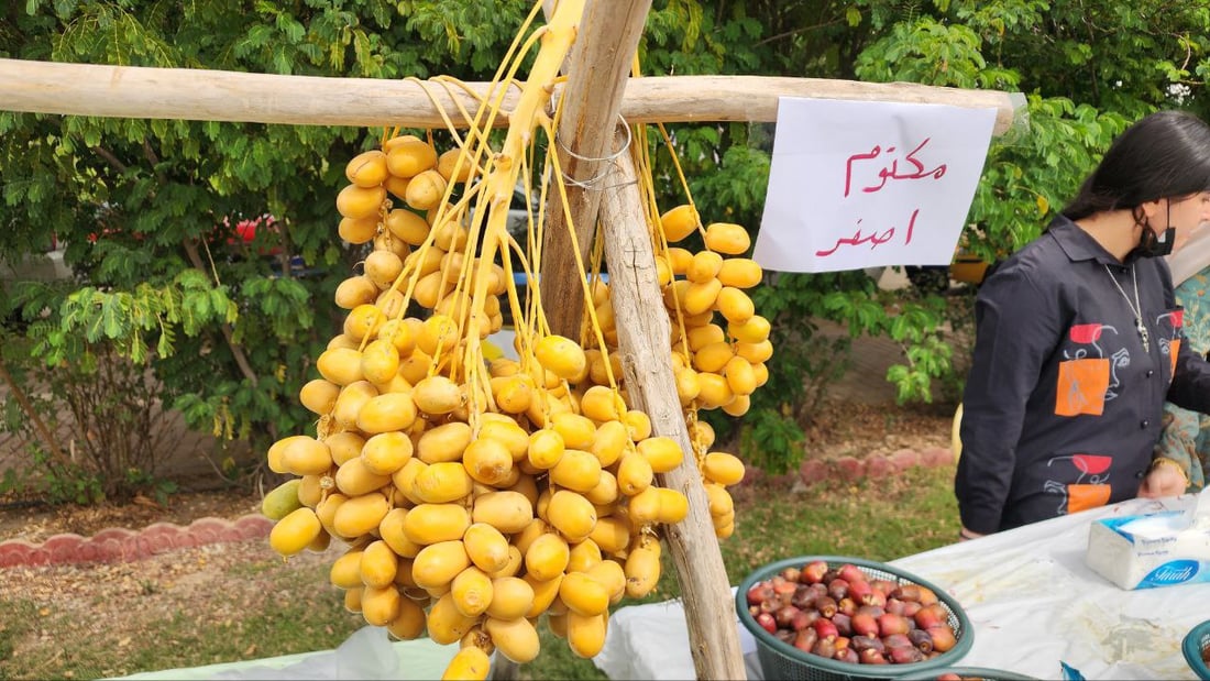 يمكن للنخيل أن ينجح في كردستان بعد تغير المناخ.. صور شهية من مهرجان كركوك للتمور