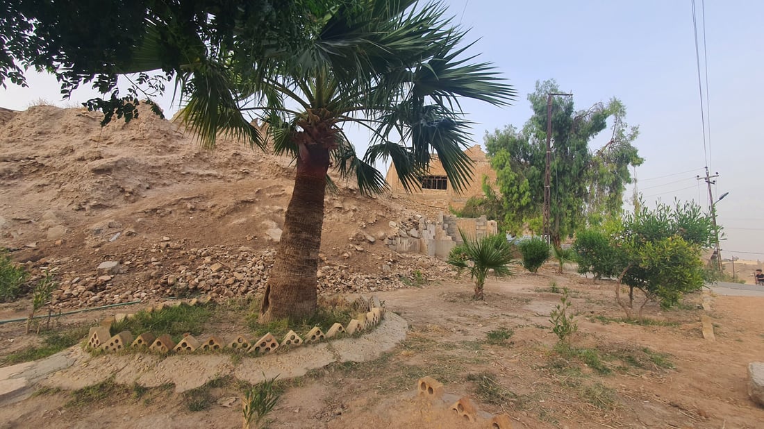 يرعاها كأطفاله.. “نور الدين مراد” يجلب الماء من منزله ويسقي أشجار تلعفر يومياً