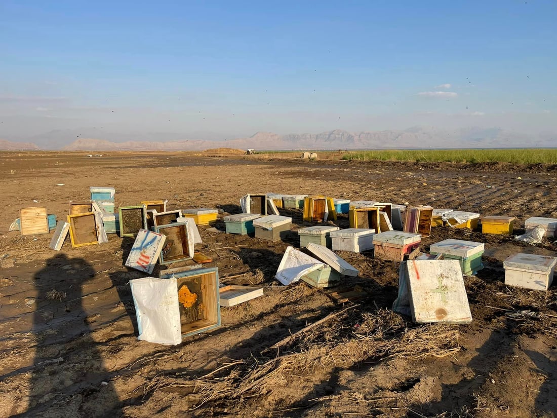 “یه‌كه‌م بارانى پاییز زیانى به‌ هه‌نگه‌كانم گه‌یاند”