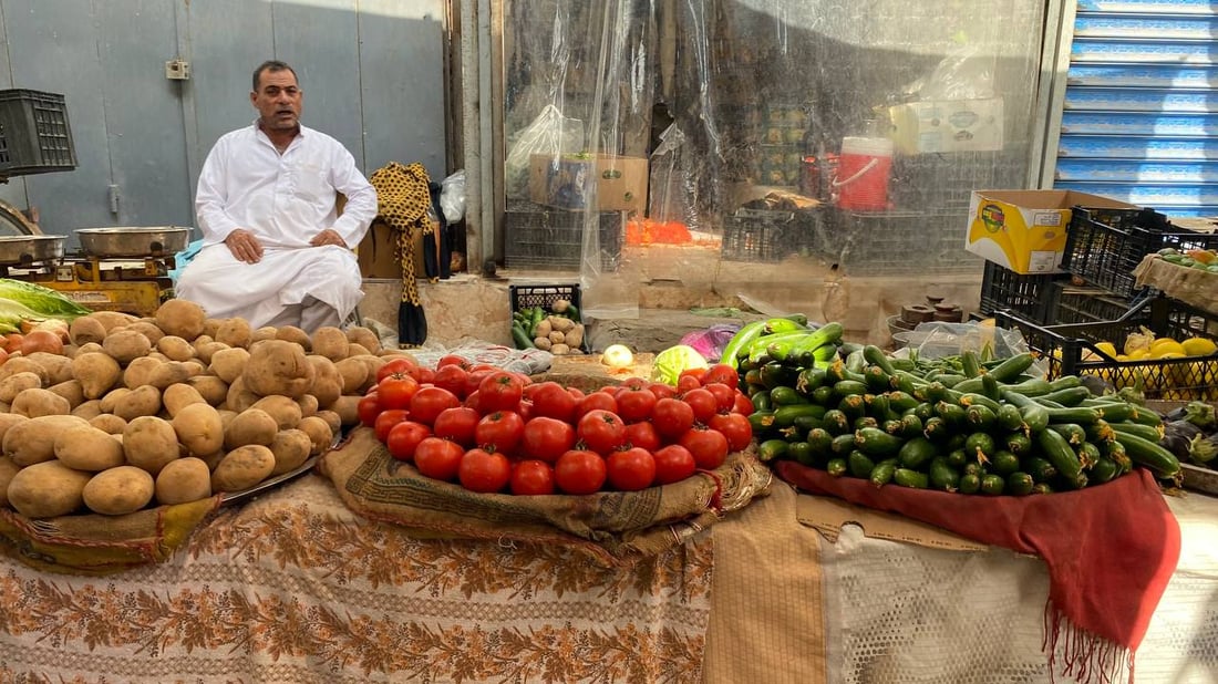 ثمار الزبير لاتزال خضراء.. الشلامجة تسمح بدخول طماطة إيران (صور)