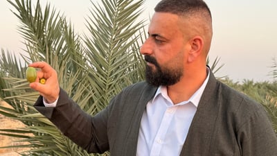 لە بەریتانیاوە بۆ کەلار؛ پێنج هەزار دارخورما بەرهەمیان گەیشت