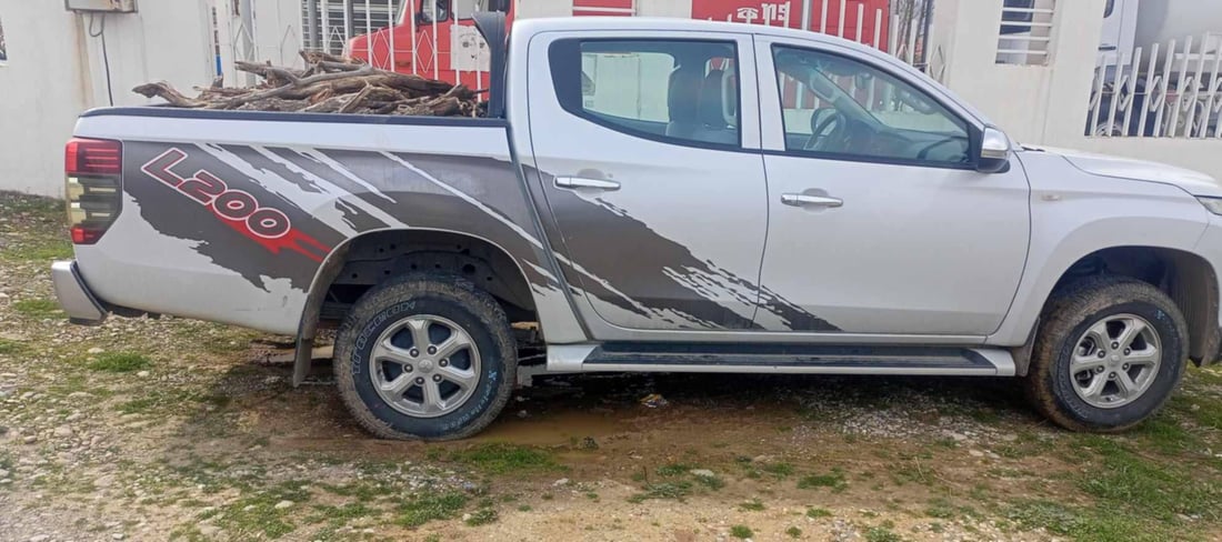 Sulaymaniyah arrests four for illegal logging amid deforestation crackdown