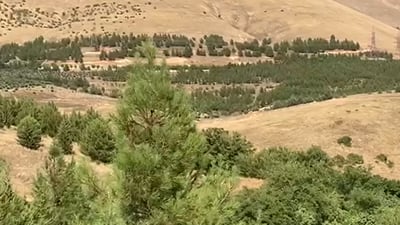 بەروبوومی دوو باخی هەواری شار دەفرۆشرێن و سێ باخی دیکەش زیادکردنی ئاشکرایان بۆ دەکرێت