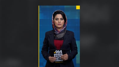 گۆشتی سوور کەمبووەتەوە و سەگە بێلانەکانی کۆیەش دێنە هەولێر